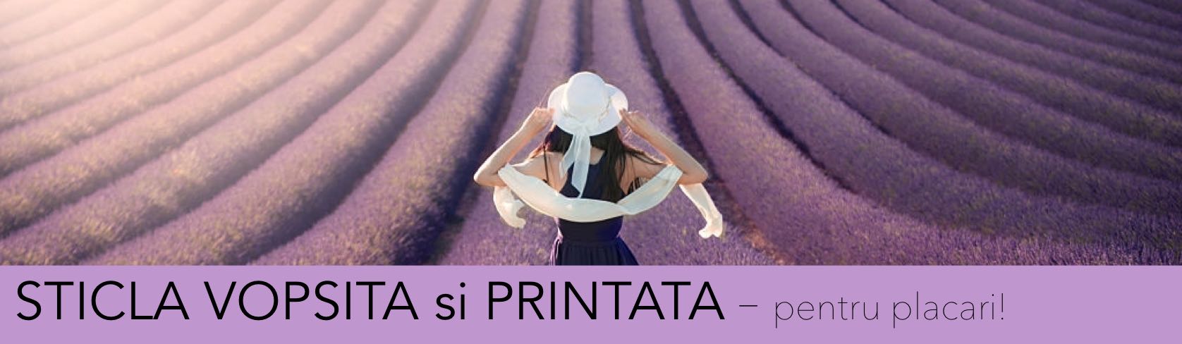 STICLA VOPSITA, BUCATARIE
