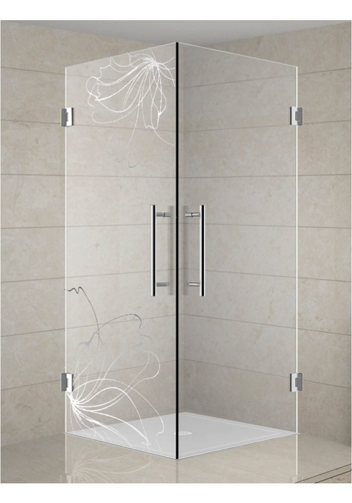 Cabina De Dus Cu Doua Usi Sticla Clara 8 Mm Model Quelle Duo Floral