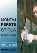 Montaj perete sticla