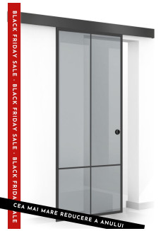 Usa sticla securizata, (0086), tip glisanta, sticla gri decorata, 8 mm, BOSS BLACK CLUB