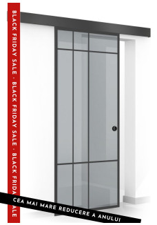 Usa sticla securizata, (0080), tip glisanta, sticla gri decorata, 8 mm, BOSS BLACK EVENT