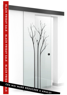 Usa sticla securizata, (0091), tip glisanta, sticla clara decorata, 8 mm, BOSS BLACK PEACE