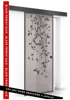 Usa sticla securizata, (0099), tip glisanta, sticla bronz decorata, 8 mm, BOSS BLACK DANCE