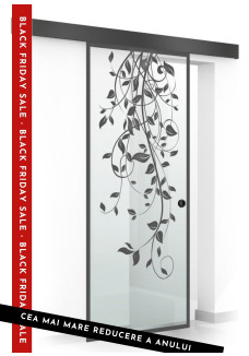 Usa sticla securizata, (0097), tip glisanta, sticla mata decorata, 8 mm, BOSS BLACK DANCE