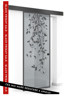 Usa sticla securizata, (0098), tip glisanta, sticla gri decorata, 8 mm, BOSS BLACK DANCE