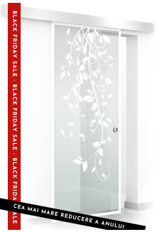 Usa sticla securizata, (0103), tip glisanta, sticla clara decorata, 8 mm, BOSS DANCE