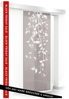 Usa sticla securizata, (0105), tip glisanta, sticla bronz decorata, 8 mm, BOSS DANCE