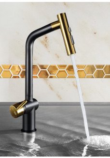 Baterie cu cap extractibil negru cu auiru