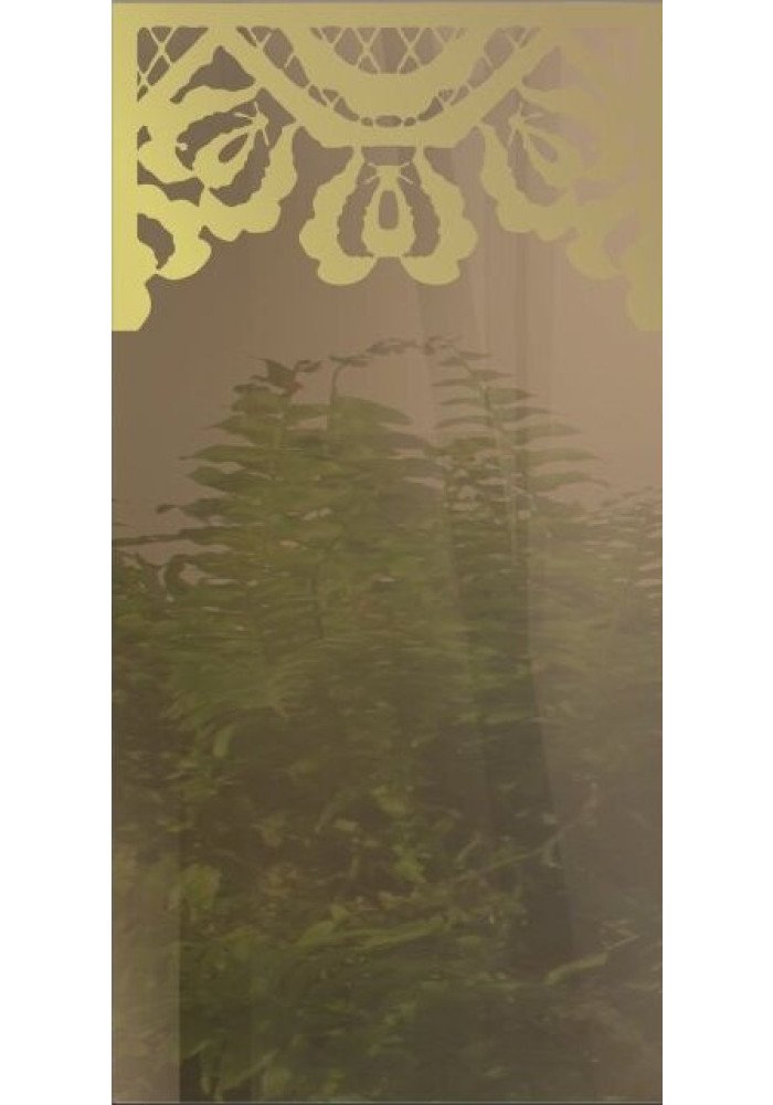 Vitrina sablata, Vintage Orizontal  bonz,contur auriu