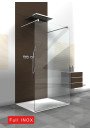 Paravan Cabina de dus Walk-in, (5583), sticla clara nedecorata 8 mm, AQUA DUO, feronerie INOX