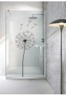 PARAVAN DUS FLOAT FULL INOX